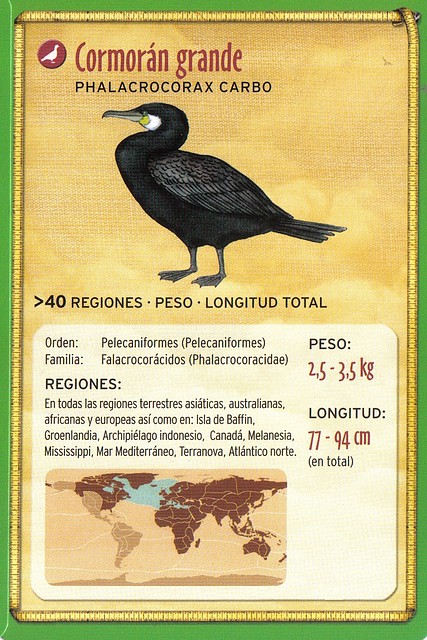 cormoran grande