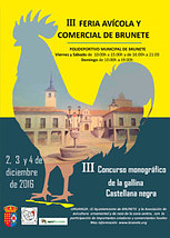 cartel-expo-brunete-2016-214x300