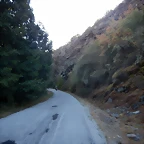 DSCN6215