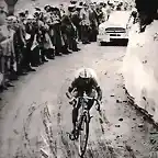 ANQUETIL,CORONANDO EL GAVIA 1960