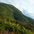 DSCN4416