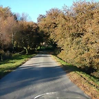 DSCN6630