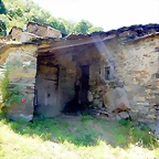 DSCN7756