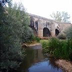 DSCN8067