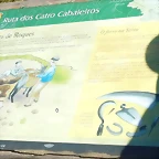 DSCN9037