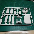 DSCN5550