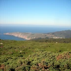 DSCN6837