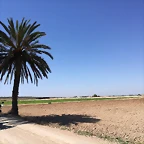 IMG_20210627_114804
