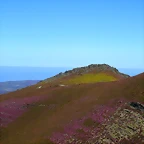 060-IMG_6690