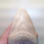 mega