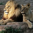 Zoo de Barcelona 01-07-2010 605