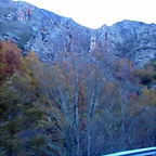 DSCN6963