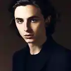 timothee-chalamet-1515528996