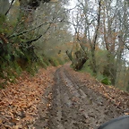 DSCN0887