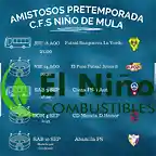 AmistososCFS2O22-1