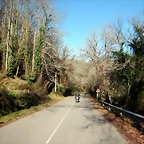 DSCN2909
