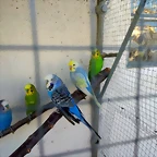 IMG_20180328_184402