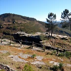 DSCN9010