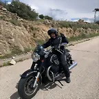 guzzi