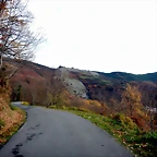 DSCN2119