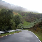 DSCN8480