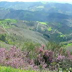 DSCN9006