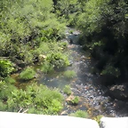 DSCN6671