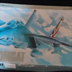 F-14A TOMCAP