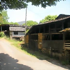DSCN5777