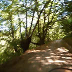 DSCN4161