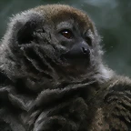 Zoo Lunaret + Sigean 18 i 19-09-10 1039