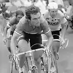 TOUR 1978-HINAULT-ZOETEMELK-AGOSTINHO.