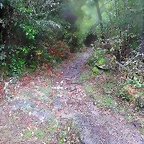 32-IMG_3173