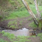 DSCN4166
