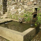 DSCN3055