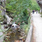 DSCN3735