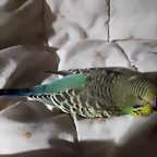 20190402_210649