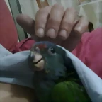27092011186