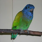DSCN0490