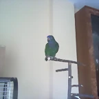 05022012049