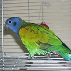 DSCN0404