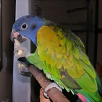 DSCN0419