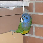 DSCN0486