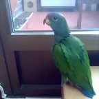02102011240