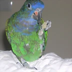 DSCN0150