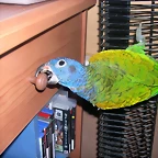 DSCN0499