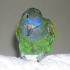 DSCN0156