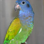DSCN0413