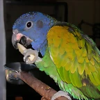 DSCN0420