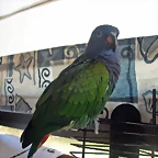 DSCN0426a